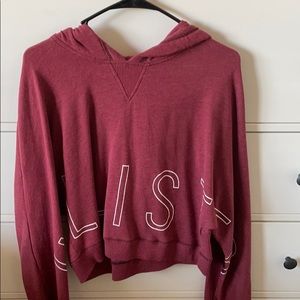 Hollister Cropped Sweatshirt